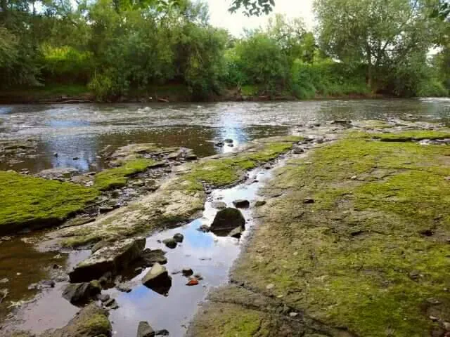Sandstone ledges at the water's edge on the Severn