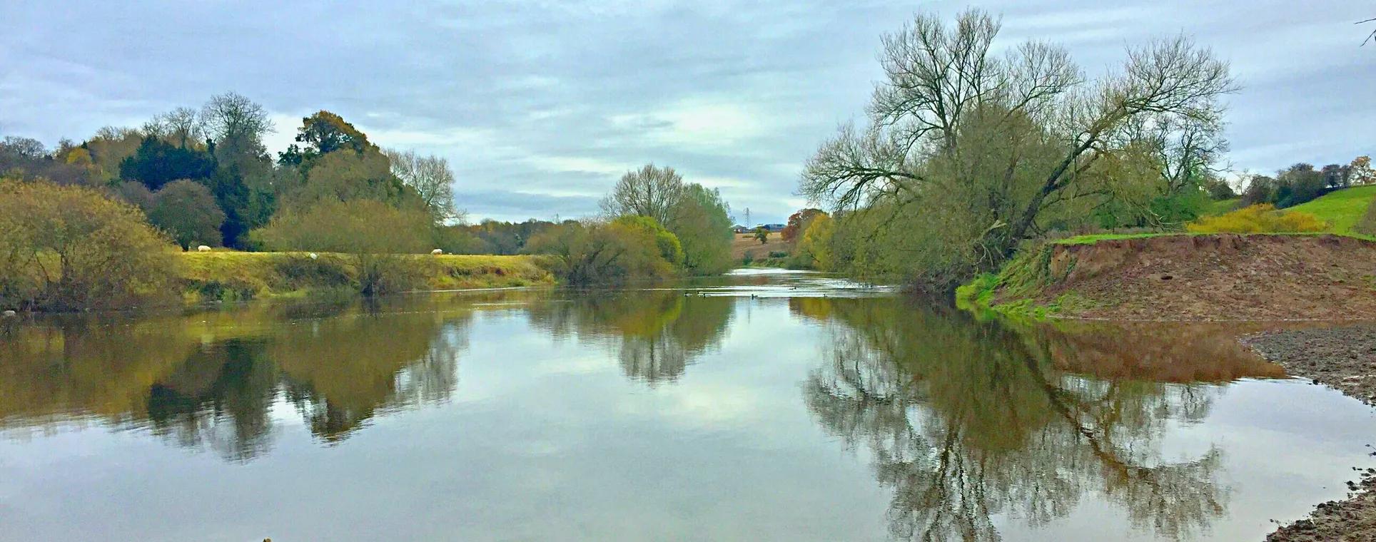 The River Severn at Preston Boats on a still autumn day, trees reflected in the water
